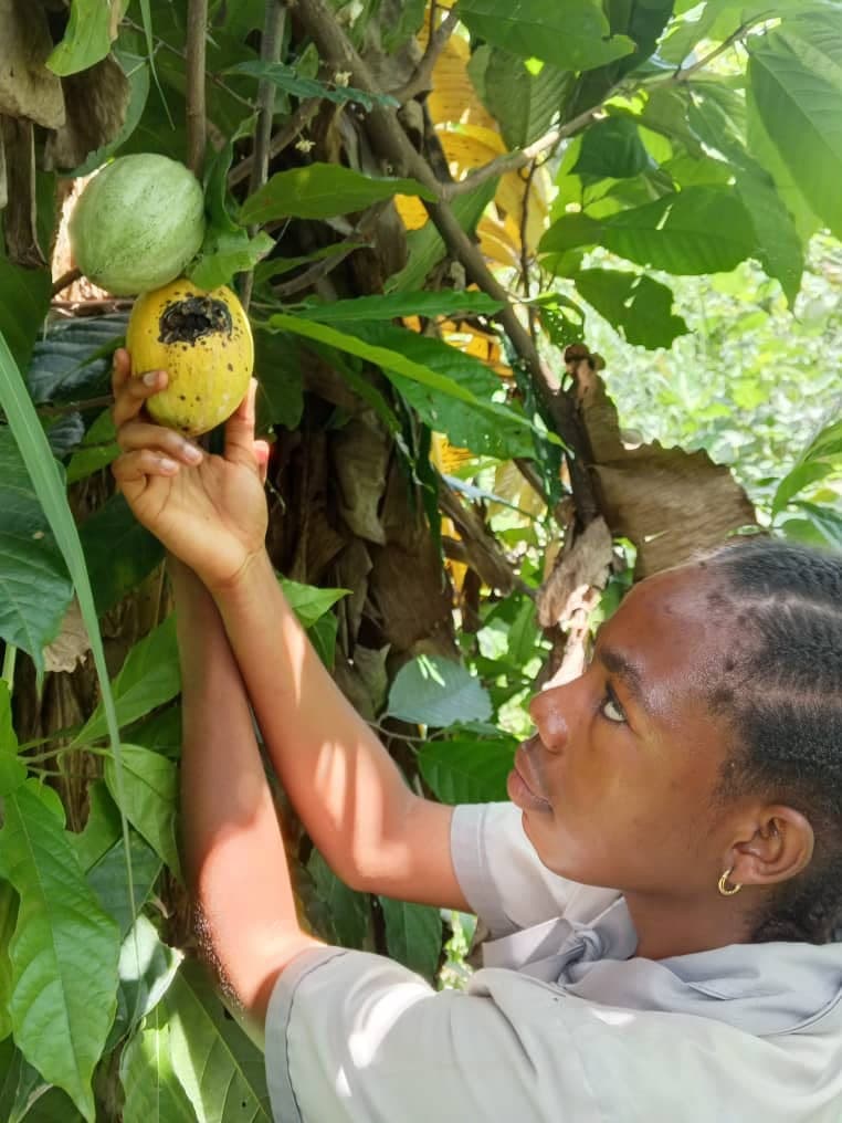Collège Bilingue la Charité — Théâtre — Les Fruits de la Sagesse